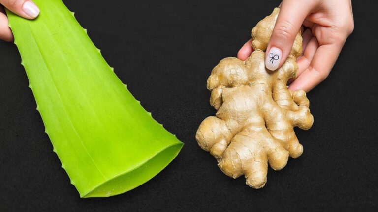 Viele wissen nicht, dass Aloe Vera das Hautbild in nur wenigen Tagen verjüngt…