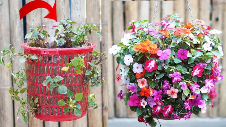 Diese geniale Idee verwandelt Müll in eine automatische Gartenbewässerung … entdecke wie!