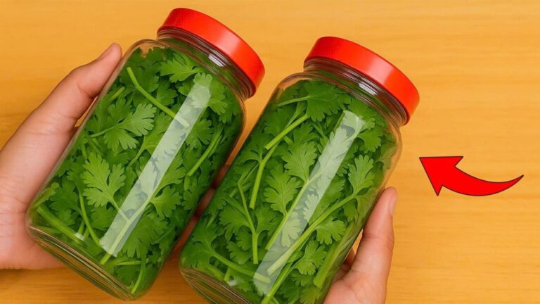Dieser einfache Trick hält Koriander ein ganzes Jahr frisch und aromatisch…