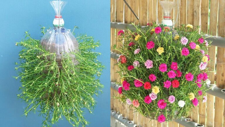 Dieser einfache Trick verwandelt alte Plastikflaschen in einen traumhaften hängenden Garten…