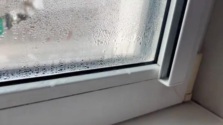 Mit dieser einfachen Methode gehören beschlagene Fenster im Winter der Vergangenheit an…