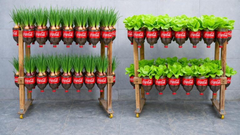 Mit einfachen Plastikflaschen zum vertikalen Gemüsegarten und frischem Salat in 50 Tagen…