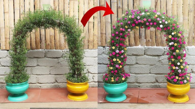 Dieser vergessene Trick verwandelt Plastikflaschen in atemberaubende Blumenportale für deinen Garten…