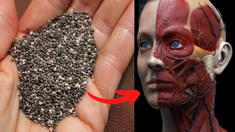 Dieser vergessene Trick mit Chiasamen könnte deine Gesundheit radikal verändern…