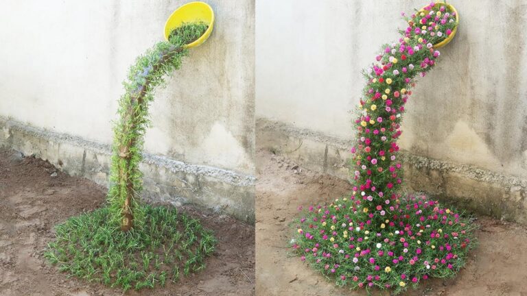 Dieser einfache Trick verwandelt deinen kleinen Garten in ein blühendes Paradies…