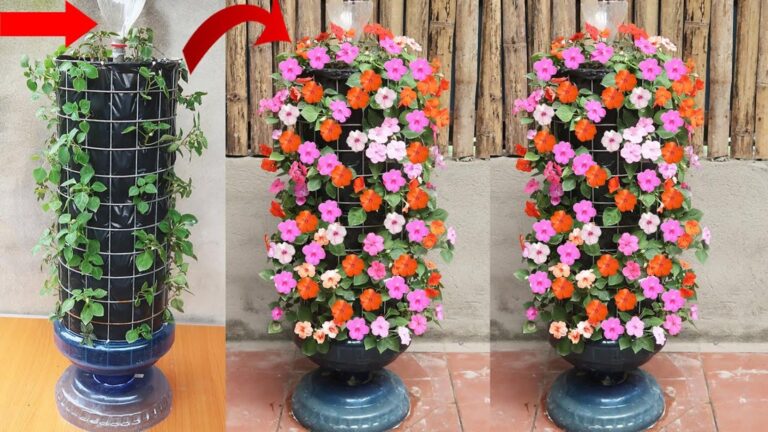 Dieser einfache Trick verwandelt deinen Garten in ein blühendes Jadeparadies …