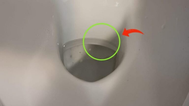 So entfernen Sie unschöne Kalkablagerungen in der Toilette