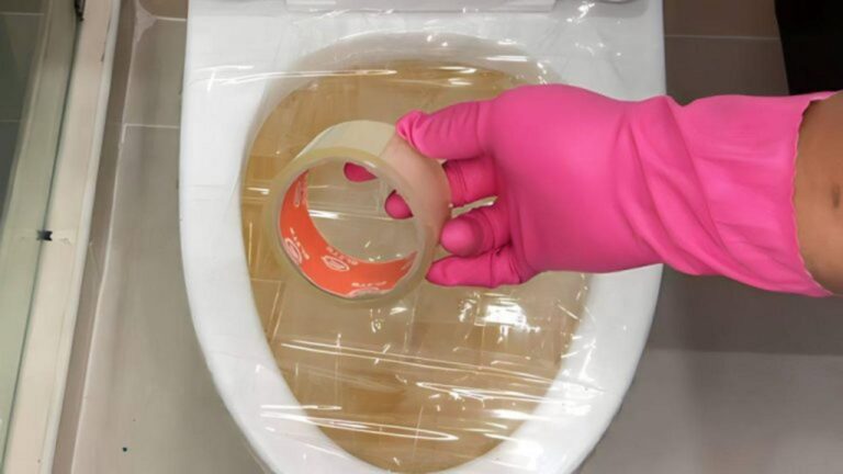 Toilette verstopft? So beseitigen Sie das Problem kostenlos!