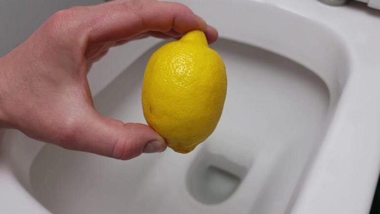 Bettgeheimnis: Zitronensaft für saubere Toiletten!