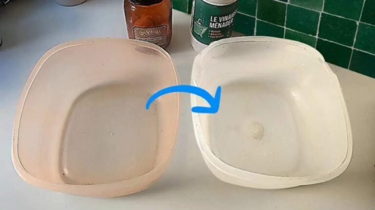 So werden vergilbte Plastikbehälter wieder strahlend weiß