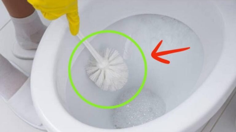 Toilettenbürste reinigen: So bekommst du sie mikrobenfrei!
