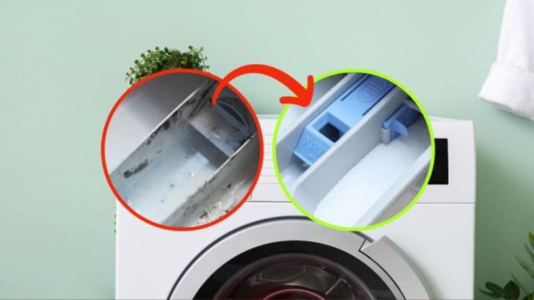 Mould im Geschirrspüler? So retten Sie Ihr Gerät!