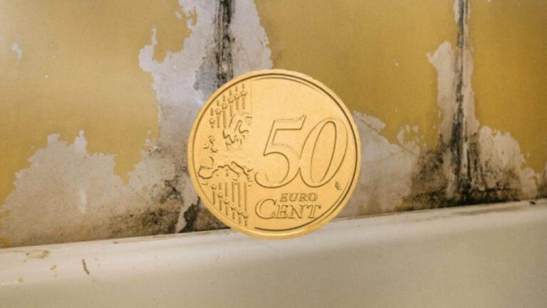 Schluss mit Schimmel! Omas Geheimtipp für 50 Cent