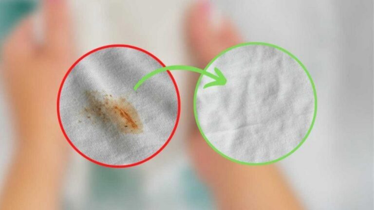 So wird Wäsche mit nur 1 € zum bunten Hingucker!