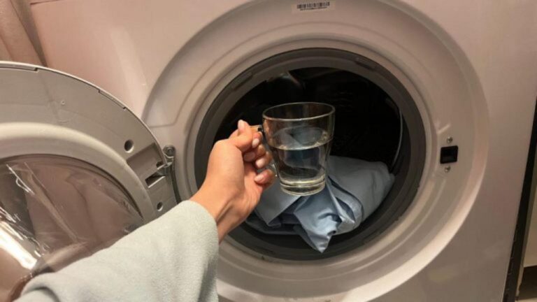 Einmal im Monat in die Waschmaschine: So bleibt er jahrelang top!
