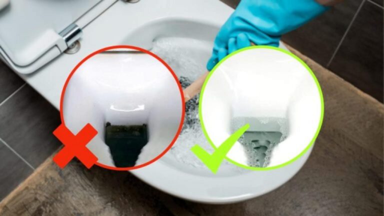 Perfekte Toilettenreinigung: So glänzen sie wie nie zuvor!