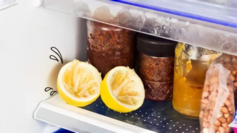Legen Sie zwei Zitronenschalen in den Kühlschrank – das passiert!