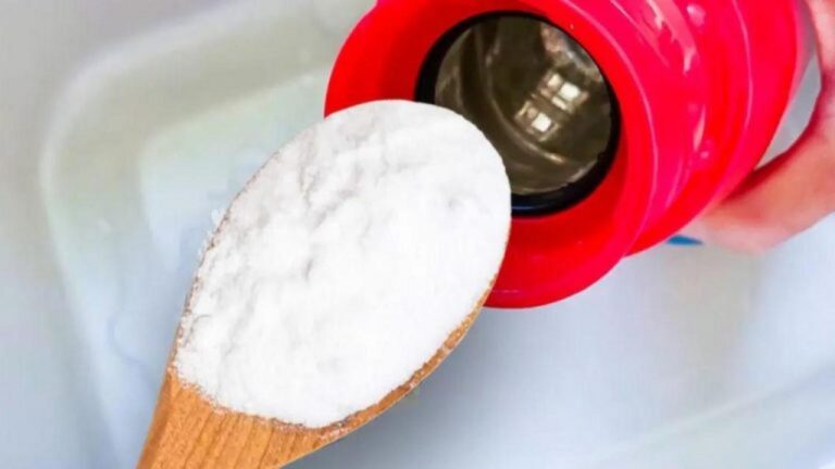 Geruchsfrei: Mit diesem Trick riecht deine Thermoskanne nie wieder!
