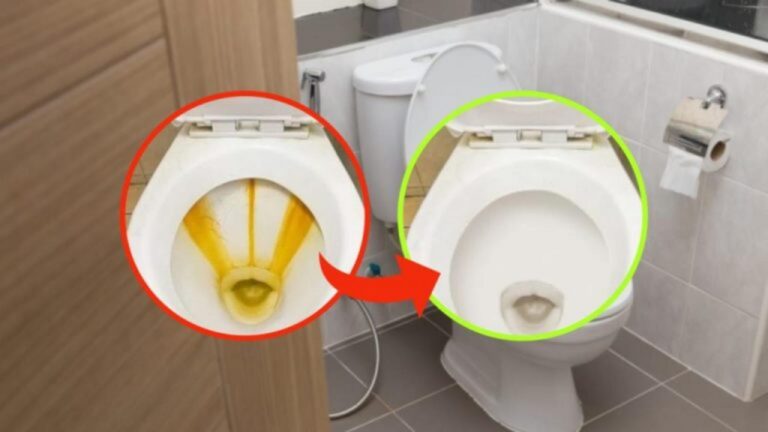 Kalkränder im WC entfernen: So geht’s mühelos!