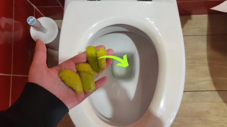 Zitronenschalen im WC: Der nächtliche Frischekick!