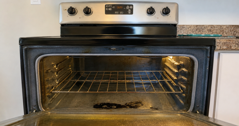 So reinigst du deinen Backofen natürlich mit Wasserdampf und Essig