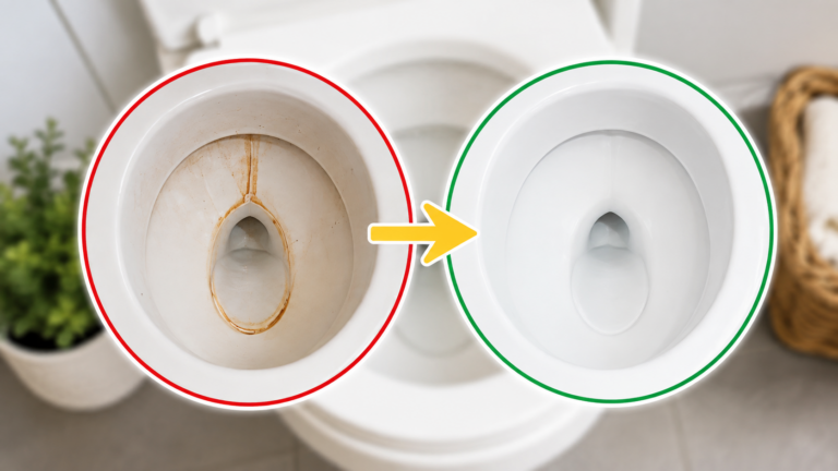 Toiletten voller Kalk und hartnäckiger Ablagerungen? So bleiben sie dauerhaft sauber und angenehm frisch